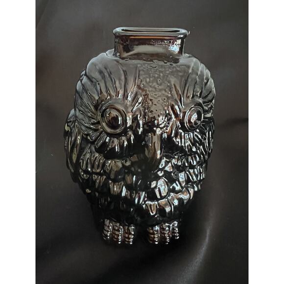 Amber Glass Wise Old Owl Glass Piggy Bank 7”tall Vintage Coin A8 - Picture 3 of 7